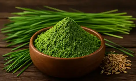 Functional Properties of Wheatgrass Powder: Applications in Health Products
